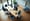 Understanding Mutual Arbitration Agreements in Employment